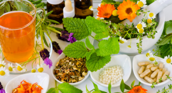 The Science Behind Herbal Medicine: Is It Effective and Safe?