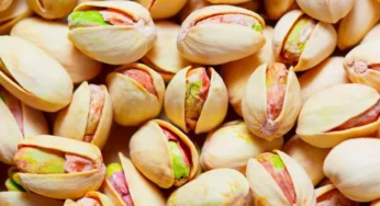 6 Manfaat Kacang Pistachio untuk Atasi Kerontokan Rambut