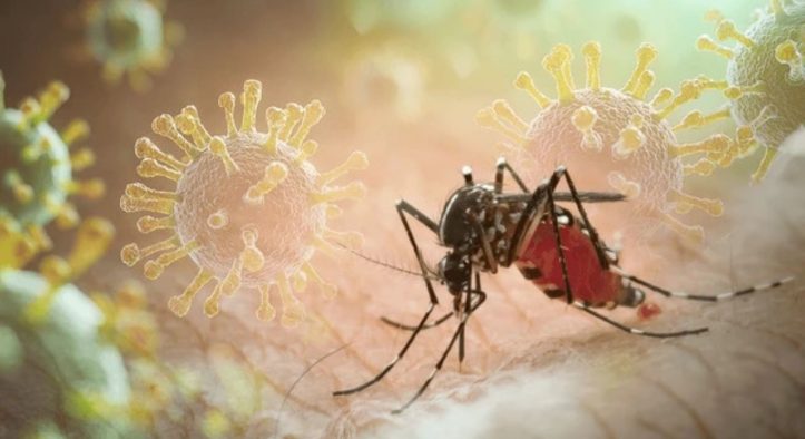 Mengapa Demam Berdarah Menyebabkan Bintik-Bintik Merah di Kulit?