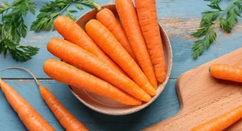 Kebutuhan Vitamin A: Kunci Imunitas Kuat dan Kulit Bebas Jerawat