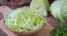 manfaat kubis