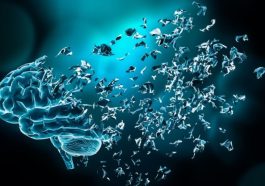 pasien alzheimer termuda