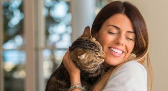 Jarang Disadari, Ini 7 Manfaat Kesehatan Memelihara Kucing di Rumah