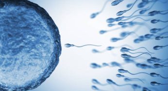 Hati-Hati! Mikroplastik Diduga Turunkan Jumlah Sperma pada Pria