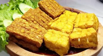 Adu Gizi: Tahu Vs Tempe, Siapa Unggul dalam Protein?