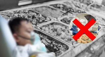 Salmonella: Bakteri yang Menyebabkan Keracunan MBG di Bandung, Waspadai!