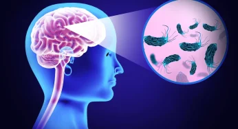 Teror Amoeba Pemakan Otak di India, 19 Nyawa Melayang